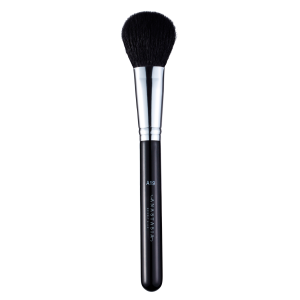 A19 Pro Brush Blush Brush v:2690521 A19 Pro Brush Blush Brush v:2690521
