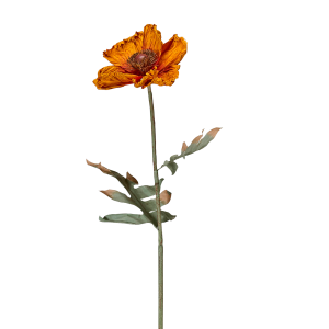 Vallmo Blomst v:3542088