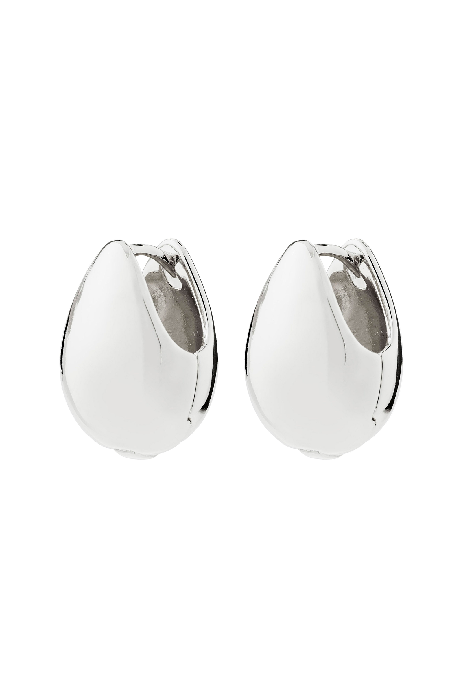 Øredobber Kaisyn Earrings Silver v:912013