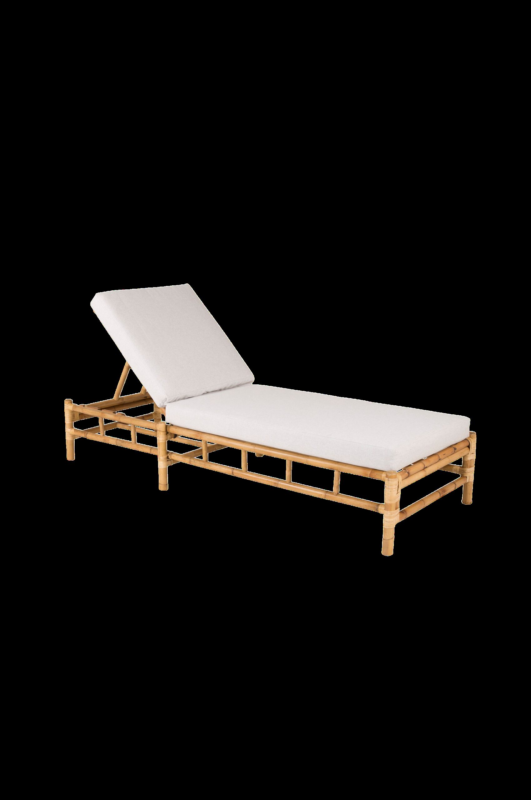 Cane Solseng v:5457827
