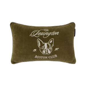 Boston Club Pute i økologisk bomullsfløyel, 50 x 30 v:3199714
