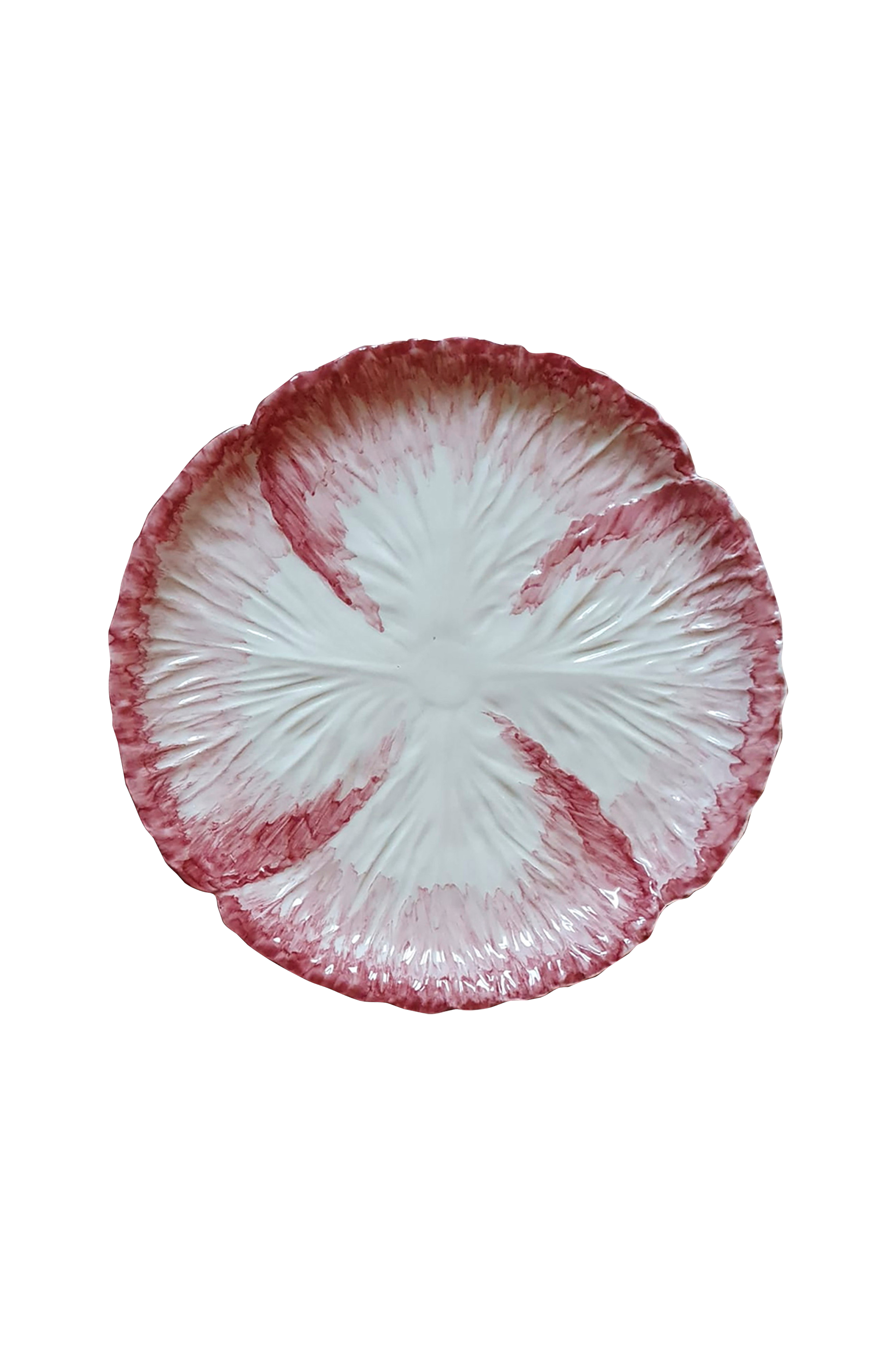 Tallerken Radicchio skygget diameter 30 cm v:3874182