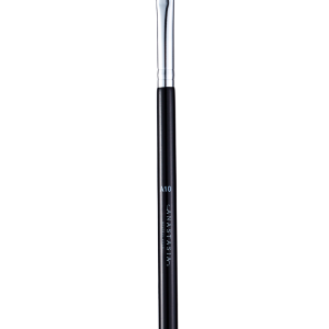 A10 Pro Brush Diffuser Brush v:1181494 A10 Pro Brush Diffuser Brush v:1181494