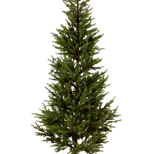 Juletre Malung, 200 cm v:7755011