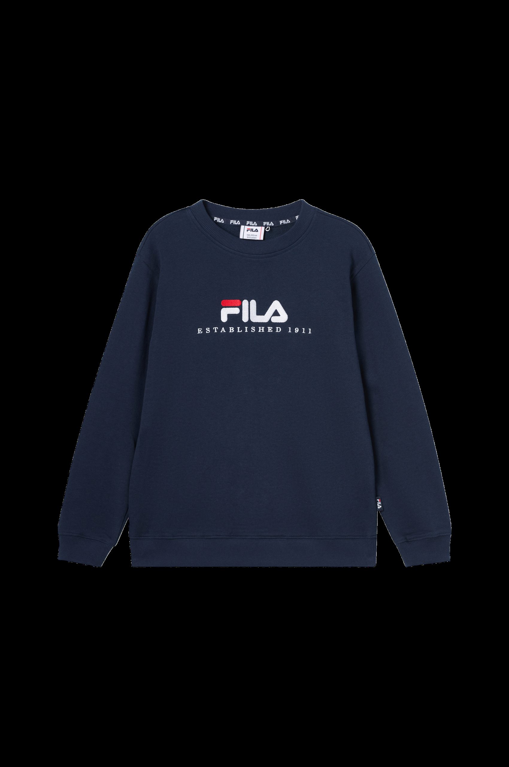 Collegegenser Carisio Regular Logo Crewneck v:2577278
