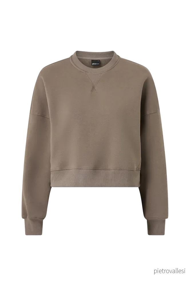 Collegegenser Crop Crewneck Sweater v:303198