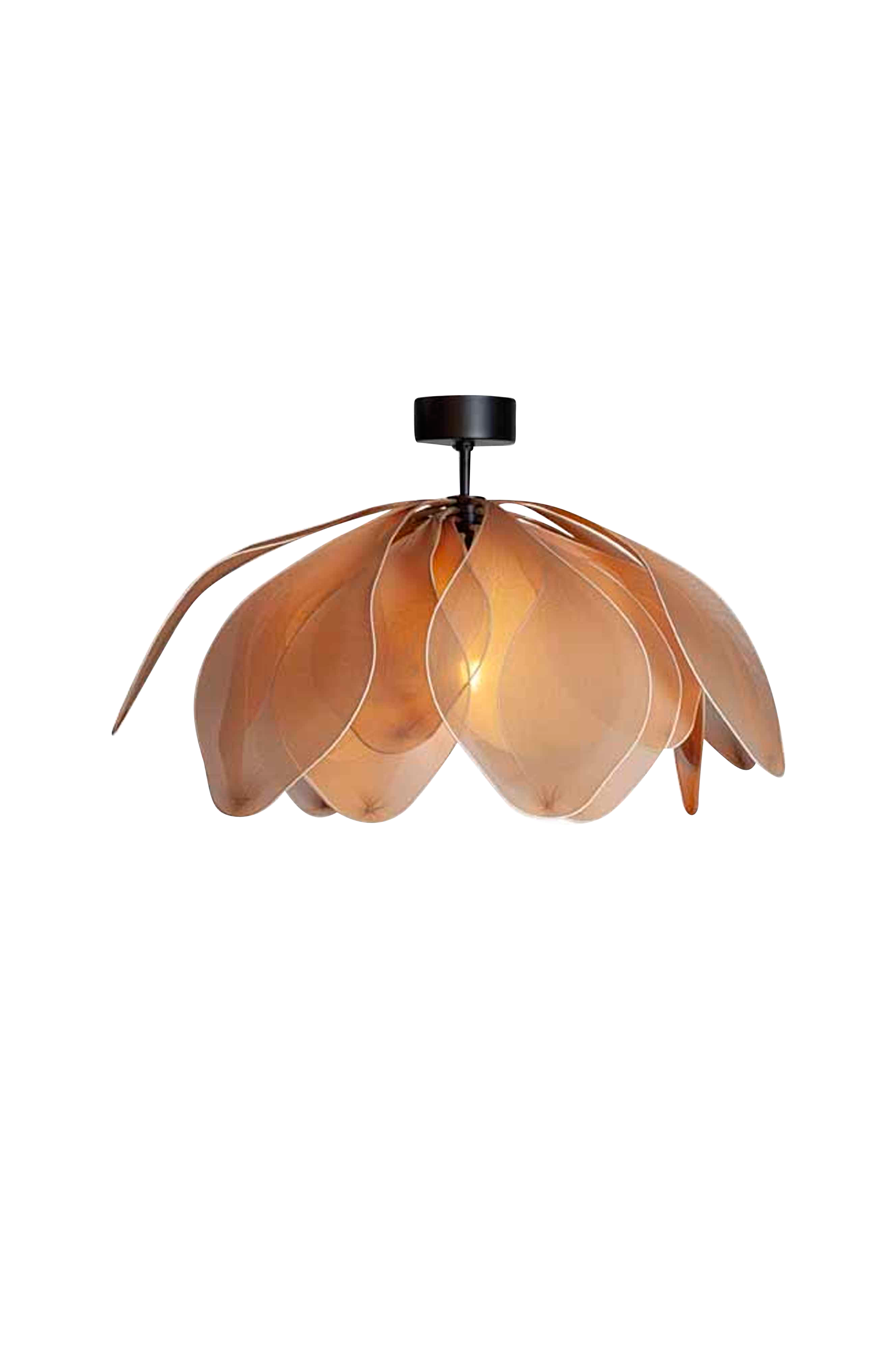 Plafond Lou Lou v:998389