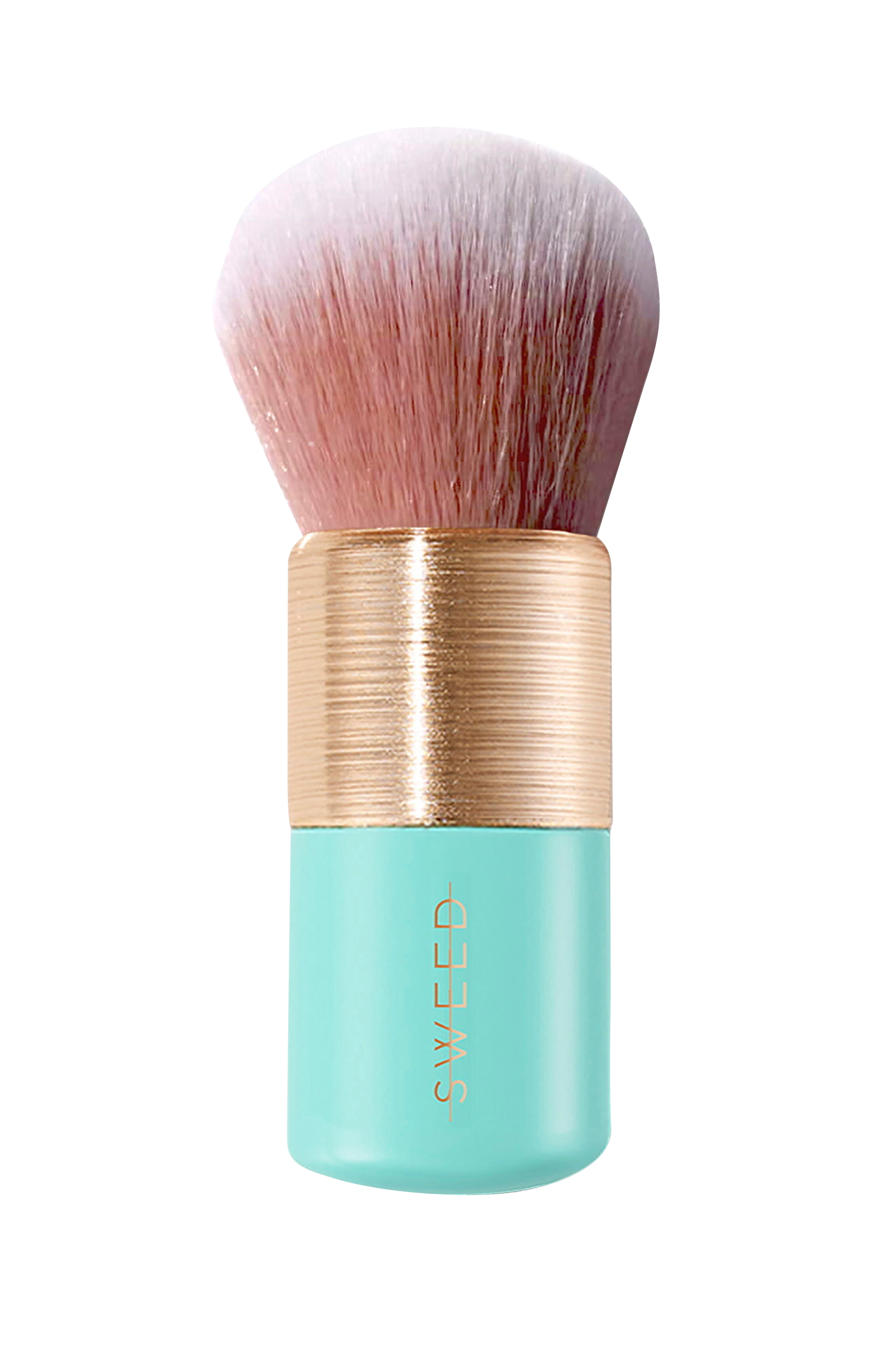 Foundation Brush v:258309