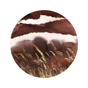 Bilde Golden Land 2 v:6073958 Bilde Golden Land 2 v:6073958
