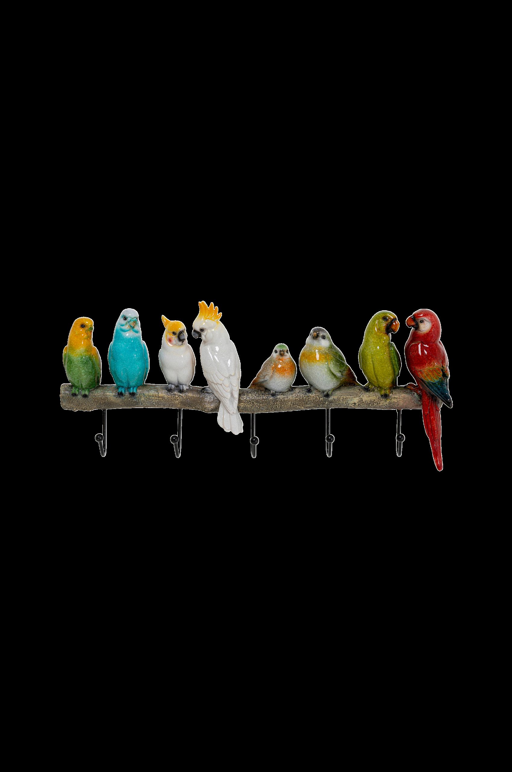 Knaggrekke Exotic Birds v:2088197
