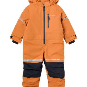 Vinter v:489189