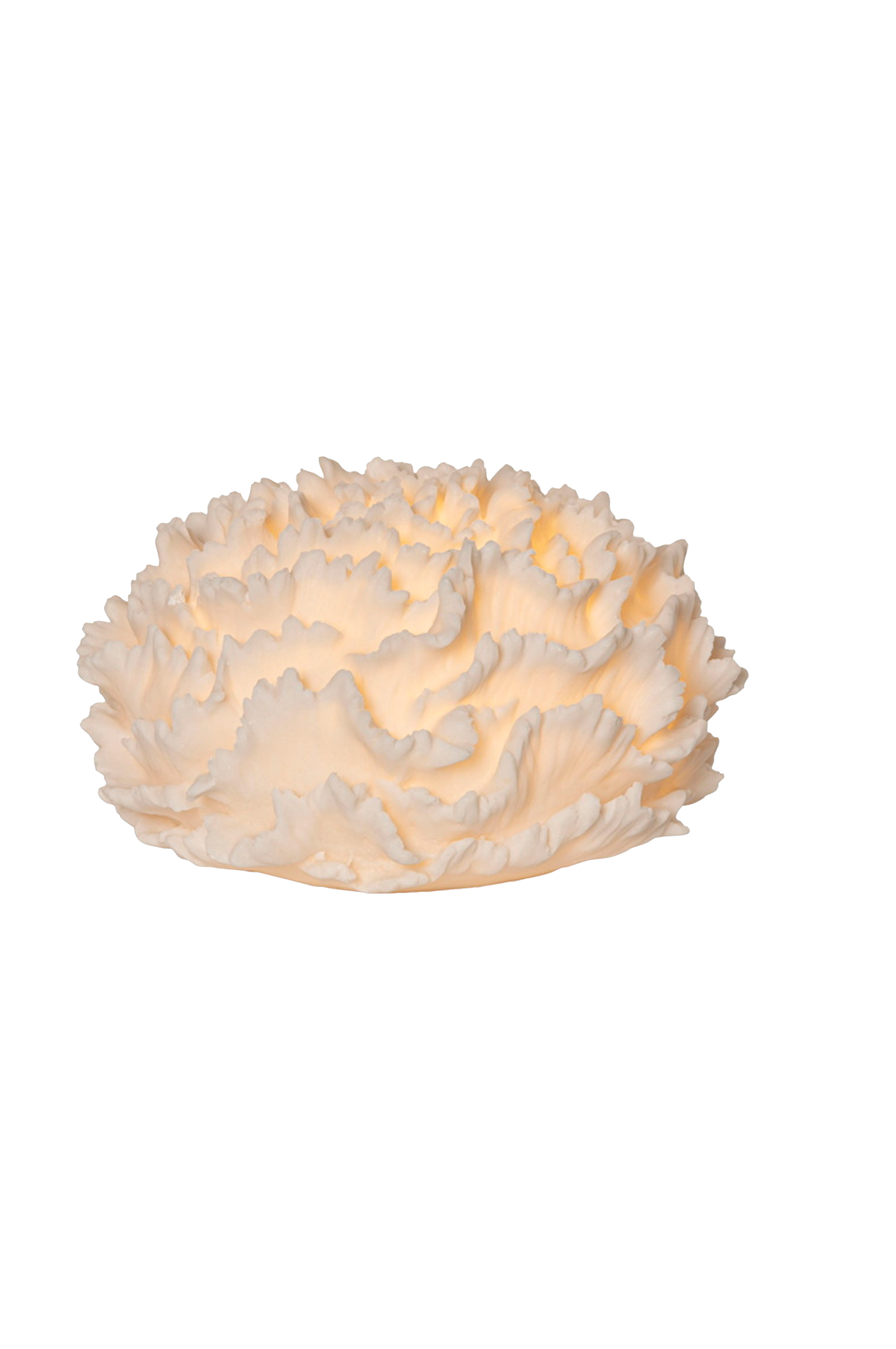 Utendørs dekorasjon Coral v:9062780